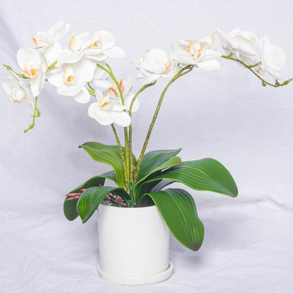 Faux Orchid Leaves Only, Greenery Stems for DIY Arrangements