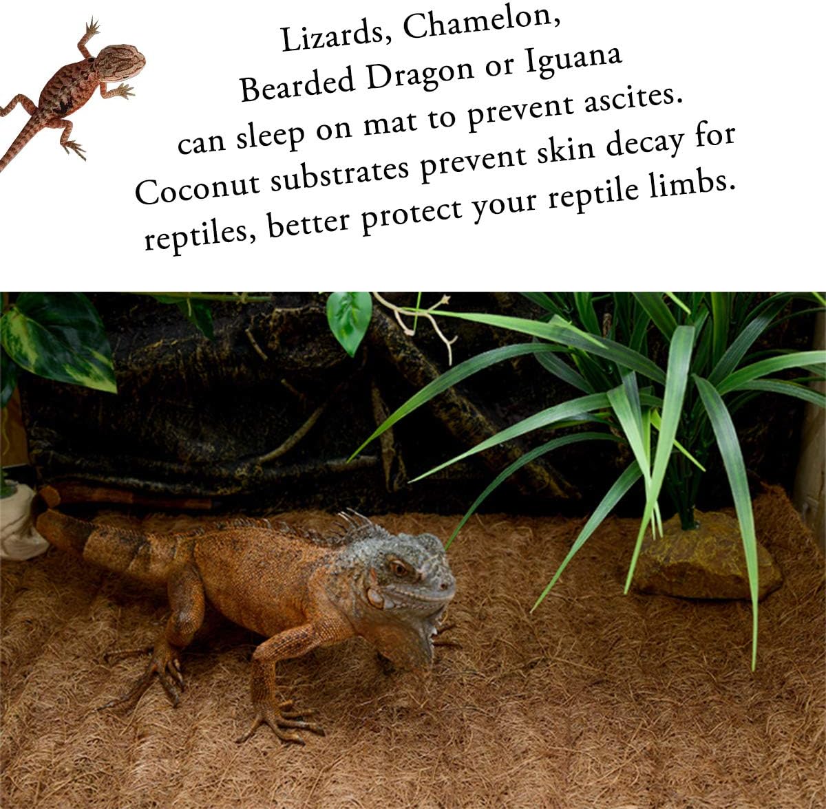 Reptile Carpet Natural Coconut Fiber, 36" x 18" Tortoise Carpet Mat for Pet Terrarium Liner, Reptile Bedding Supplies for Lizard, Snake, Chameleon, Turtle, Bearded Dragon