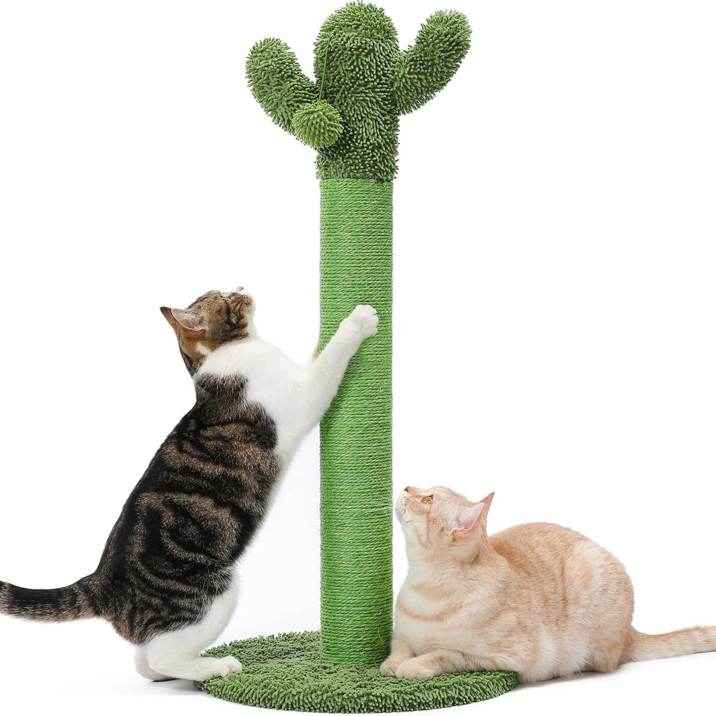 Cactus Cat Scratching Post for Small Indoor Cats & Kittens, 21.7" | Natural Sisal Rope Cat Scratcher with Stable Base and Plush Ball for Kittens to Scratch, Play and Develop Healthy Habits