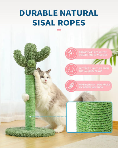 Cactus Cat Scratching Post for Small Indoor Cats & Kittens, 21.7" | Natural Sisal Rope Cat Scratcher with Stable Base and Plush Ball for Kittens to Scratch, Play and Develop Healthy Habits