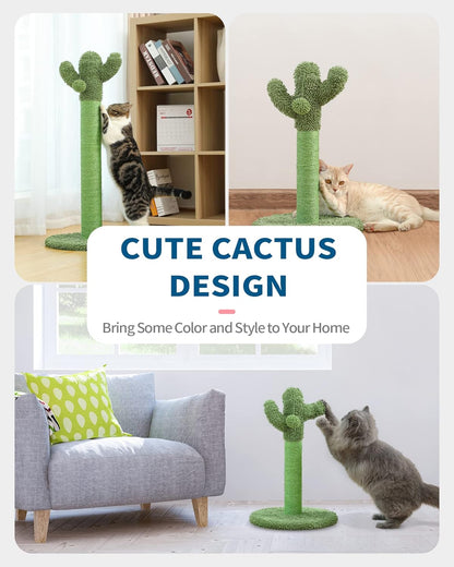 Cactus Cat Scratching Post for Small Indoor Cats & Kittens, 21.7" | Natural Sisal Rope Cat Scratcher with Stable Base and Plush Ball for Kittens to Scratch, Play and Develop Healthy Habits