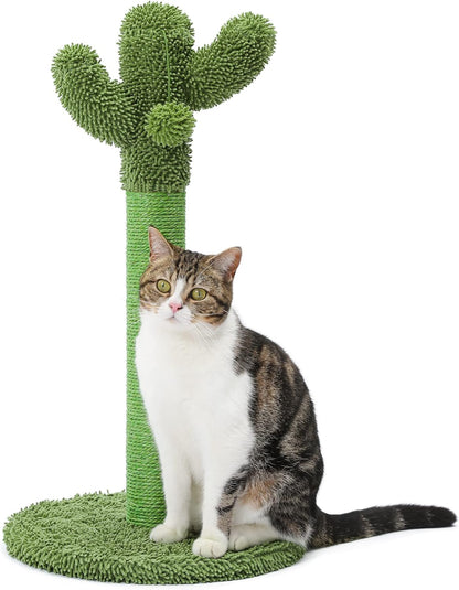 Cactus Cat Scratching Post for Small Indoor Cats & Kittens, 21.7" | Natural Sisal Rope Cat Scratcher with Stable Base and Plush Ball for Kittens to Scratch, Play and Develop Healthy Habits