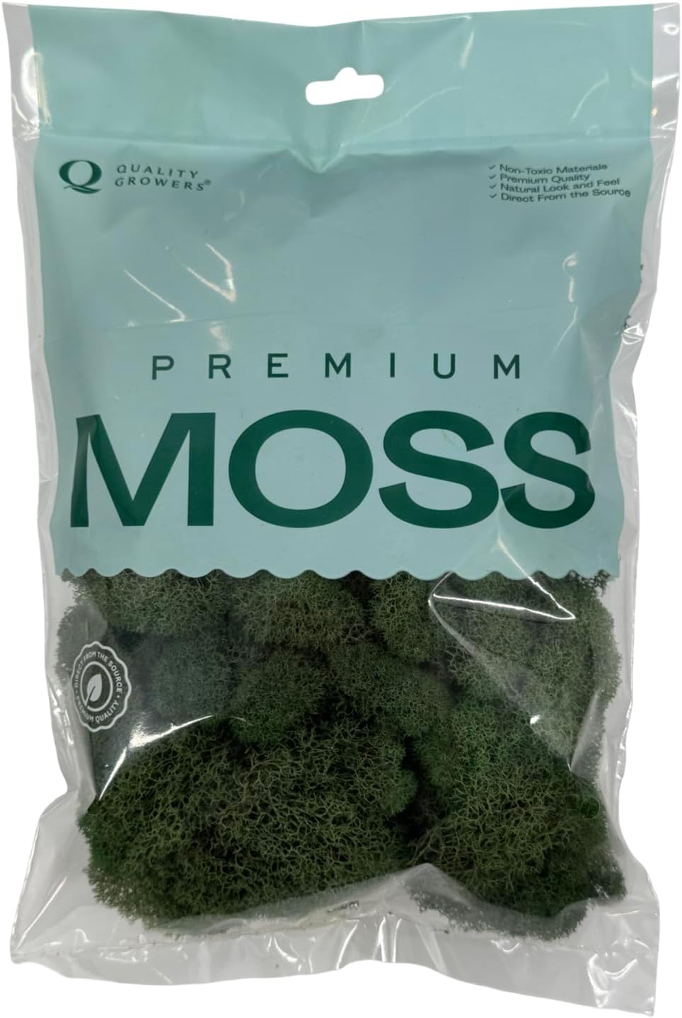 Preserved Reindeer Moss - Moss for Crafts, Home Decor, Art, Design & DIY Projects - Non-Toxic - USA Made (Basil, Standard Box)