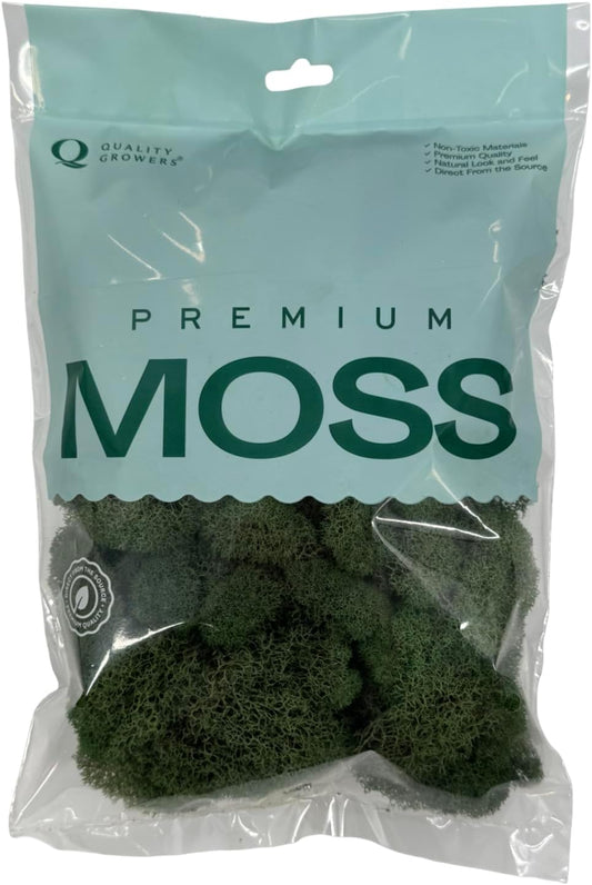 Preserved Reindeer Moss - Moss for Crafts, Home Decor, Art, Design & DIY Projects - Non-Toxic - USA Made (Basil, Standard Box)