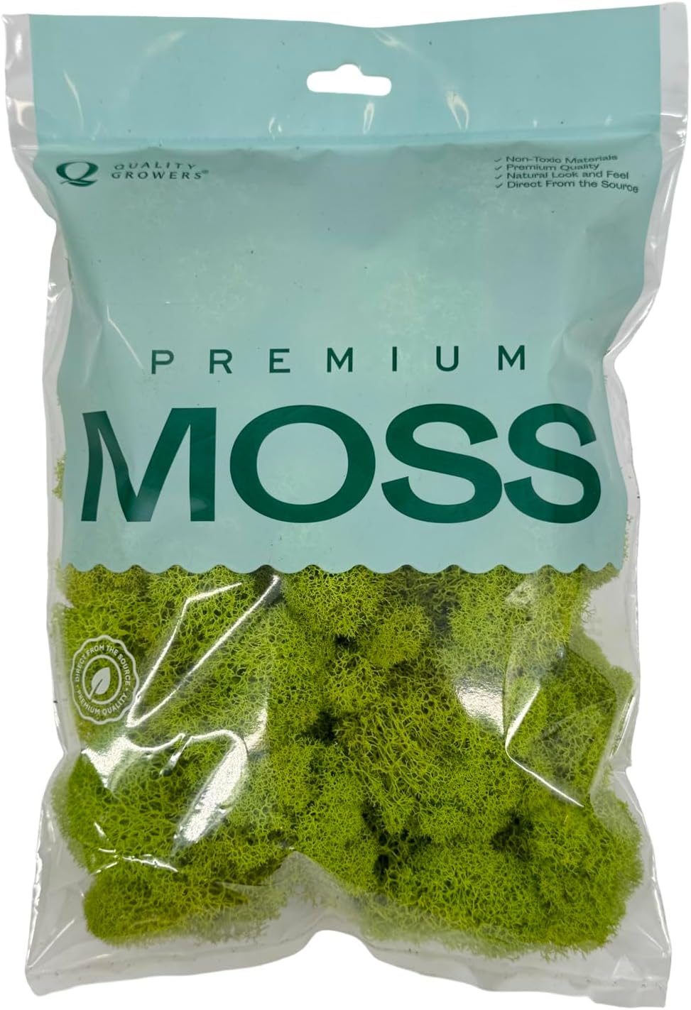Preserved Reindeer Moss - Moss for Crafts, Home Decor, Art, Design & DIY Projects - Non-Toxic - USA Made (Basil, Standard Box)