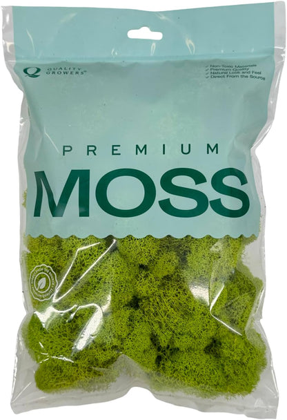 Preserved Reindeer Moss - Moss for Crafts, Home Decor, Art, Design & DIY Projects - Non-Toxic - USA Made (Basil, Standard Box)