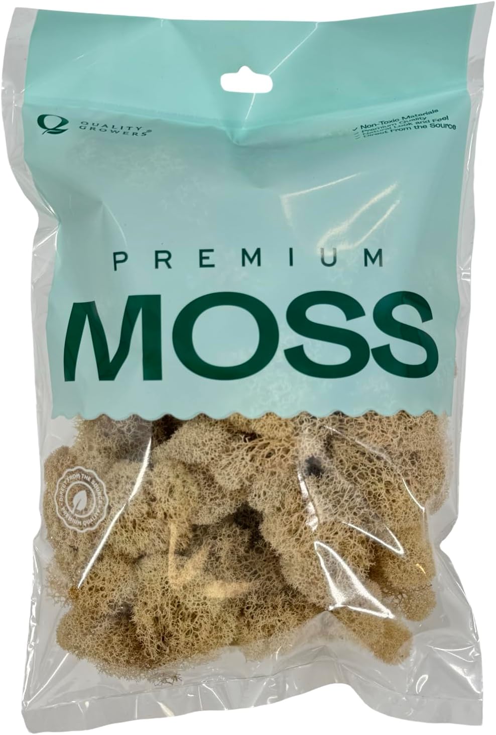 Preserved Reindeer Moss - Moss for Crafts, Home Decor, Art, Design & DIY Projects - Non-Toxic - USA Made (Basil, Standard Box)