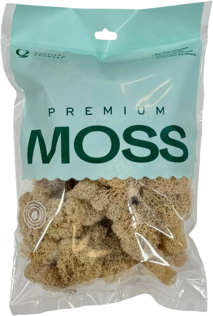 Preserved Reindeer Moss - Moss for Crafts, Home Decor, Art, Design & DIY Projects - Non-Toxic - USA Made (Basil, Standard Box)