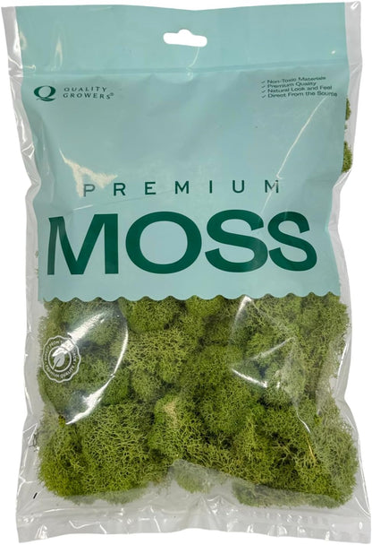 Preserved Reindeer Moss - Moss for Crafts, Home Decor, Art, Design & DIY Projects - Non-Toxic - USA Made (Basil, Standard Box)