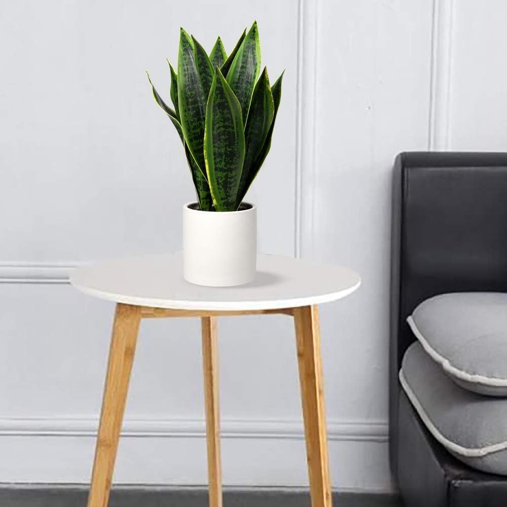Fake Snake Plant 16" Faux Potted Plant Artificial Snake Plant with White Ceramic Pot Sansevieria Plant Perfect for House Modern Living Room Office Housewarming Gift Indoor Decor