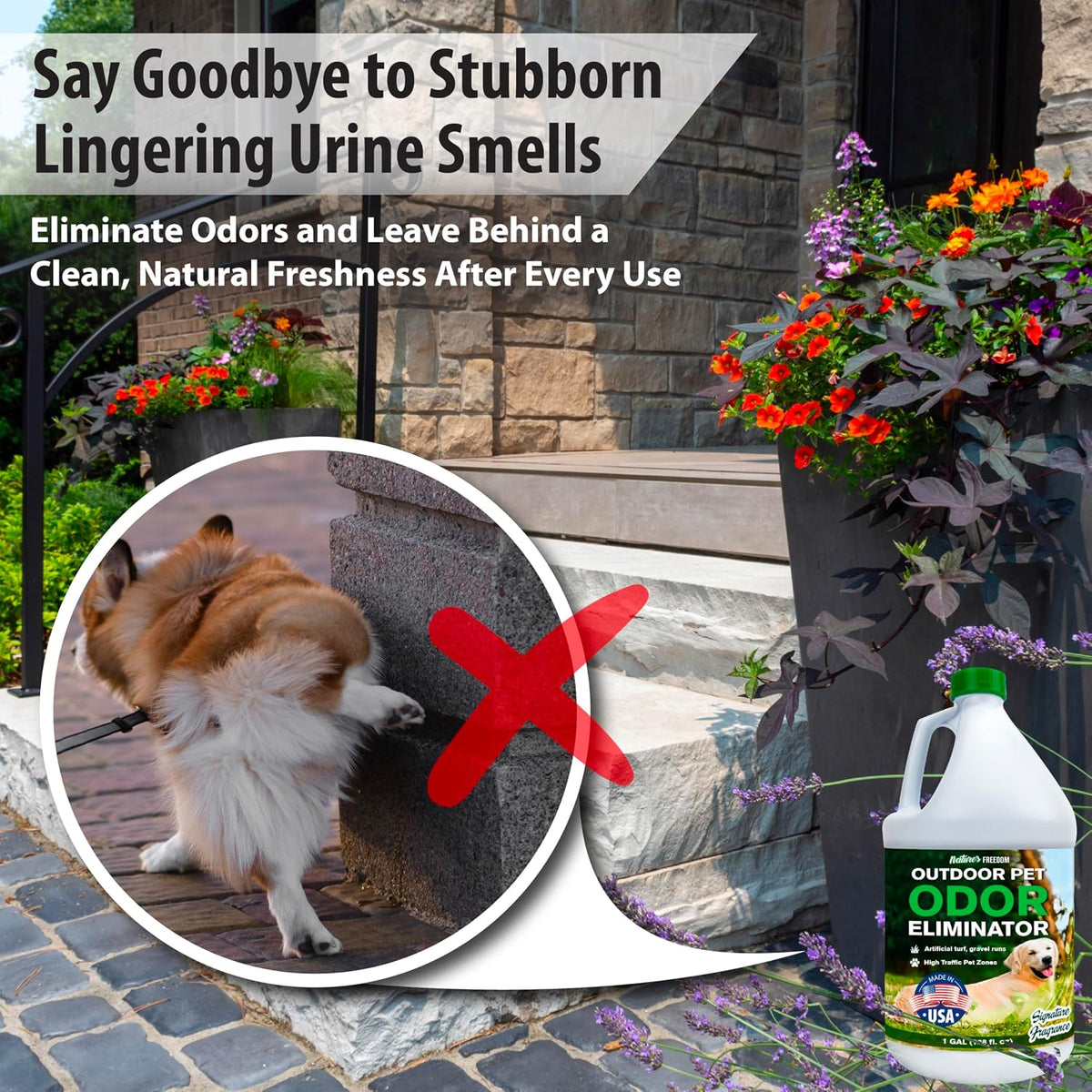 Concentrated Enzymes Outdoor Odor Eliminator, Turf and Yard Cleaner for Pet Urine, Deodorizer for Dog & Cat Waste & Smells, Makes 5 to 64 Gallons, Use on Grass, Patios, Kennels
