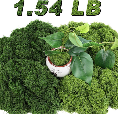 Artificial Moss for Potted Plants, 7.06 OZ Fake Green Moss for Crafts DIY, Faux Decorative Moss Planter Filler for Fairy Garden, Table Centerpiece, Landscaping, Terrarium