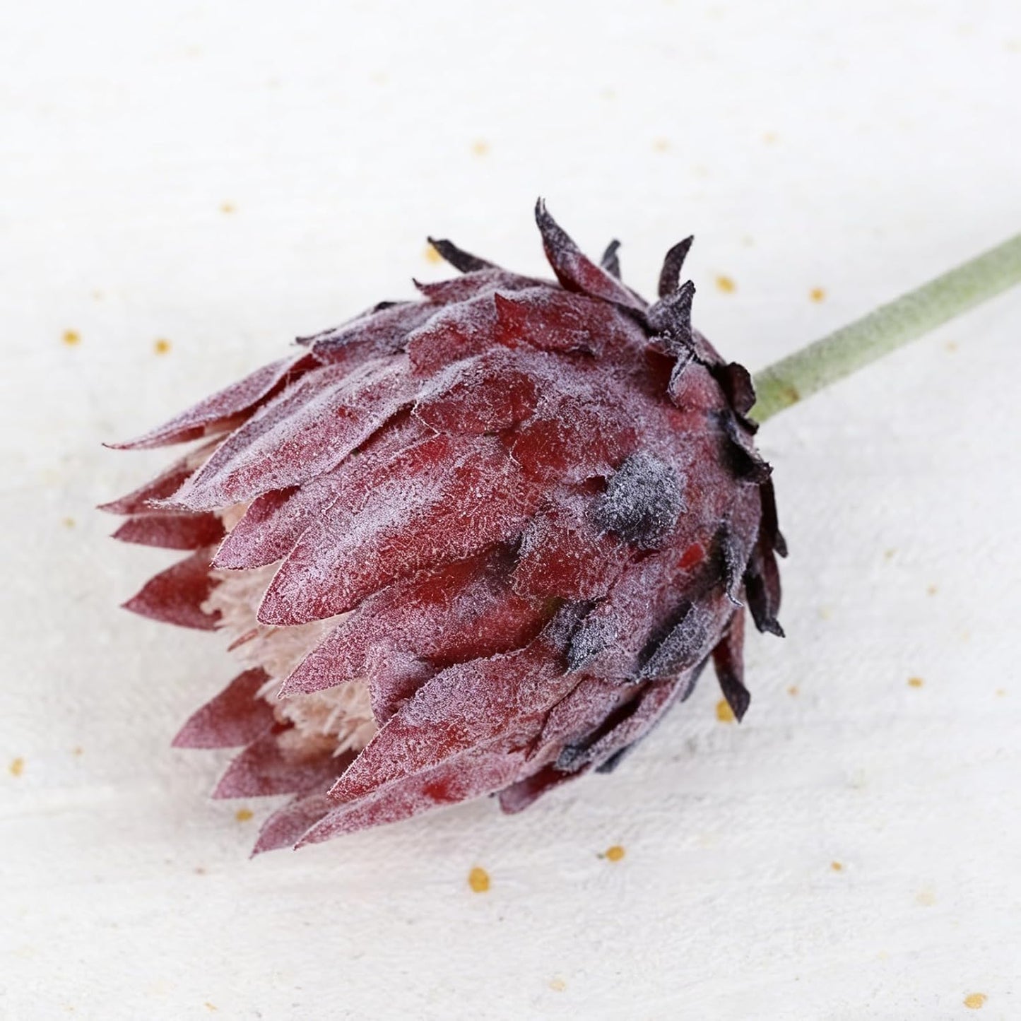5PCS Artificial King Protea Flowers Real Touch Protea Flower Arrangements Fake King Flowers Stems for Home Garden Wedding Party Decoration