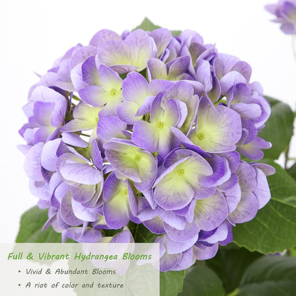 2FT Real Touch Faux Hydrangea Tree Outdoor, 2 Pack Blue Hydrangea Tree Artificial with Vibrant Blooms, Faux Hydrangea Potted Plant for Indoor Outdoor Home Front Porch Pation Decor