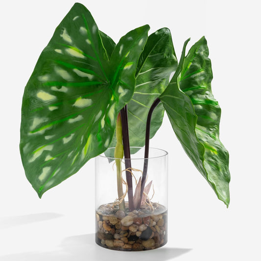 Tropical Artificial Plant in Clear Pot with Artificial Water, Wide Arrowhead Leaves. Faux Plants Indoor and Outdoor
