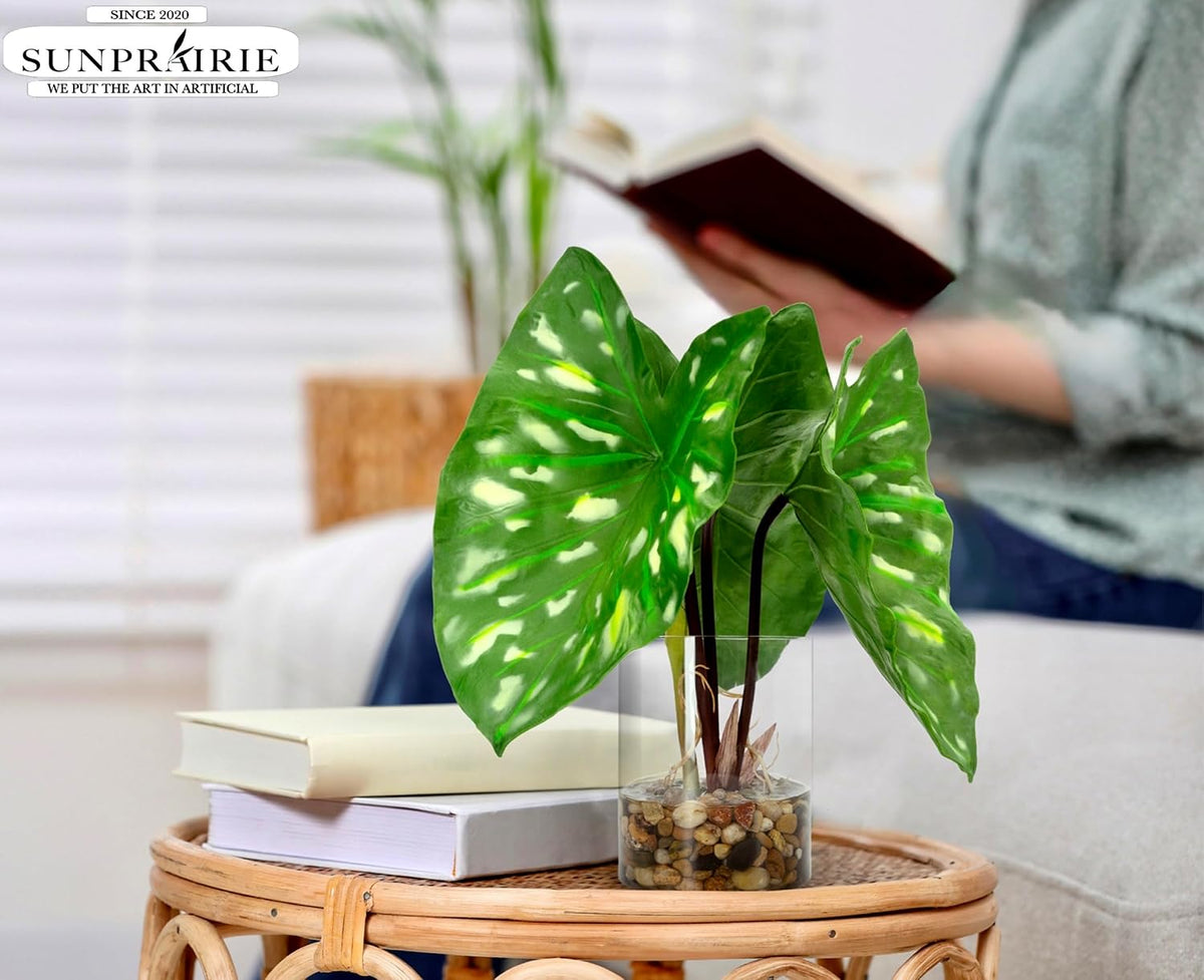 Tropical Artificial Plant in Clear Pot with Artificial Water, Wide Arrowhead Leaves. Faux Plants Indoor and Outdoor
