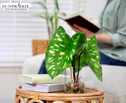 Tropical Artificial Plant in Clear Pot with Artificial Water, Wide Arrowhead Leaves. Faux Plants Indoor and Outdoor