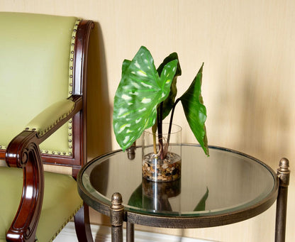 Tropical Artificial Plant in Clear Pot with Artificial Water, Wide Arrowhead Leaves. Faux Plants Indoor and Outdoor