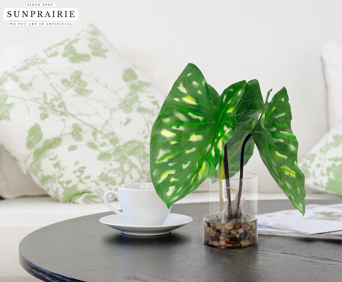 Tropical Artificial Plant in Clear Pot with Artificial Water, Wide Arrowhead Leaves. Faux Plants Indoor and Outdoor