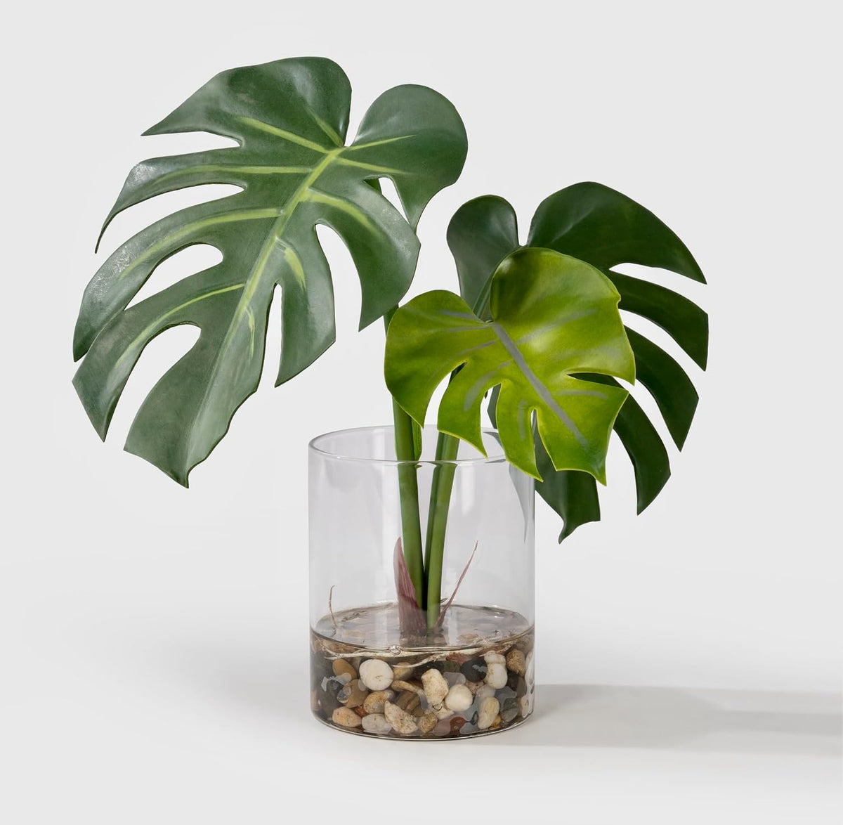 Tropical Artificial Plant in Clear Pot with Artificial Water, Wide Arrowhead Leaves. Faux Plants Indoor and Outdoor