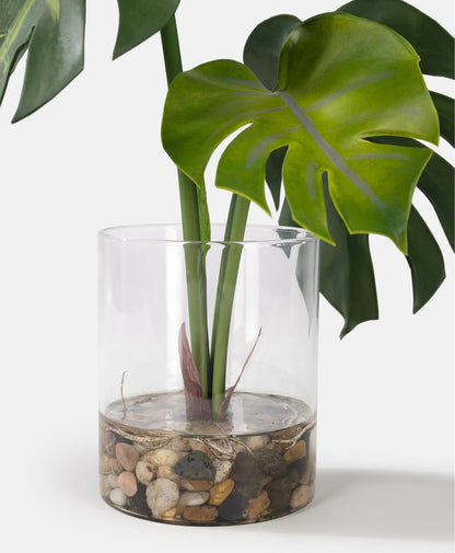 Tropical Artificial Plant in Clear Pot with Artificial Water, Wide Arrowhead Leaves. Faux Plants Indoor and Outdoor