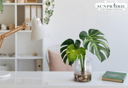 Tropical Artificial Plant in Clear Pot with Artificial Water, Wide Arrowhead Leaves. Faux Plants Indoor and Outdoor
