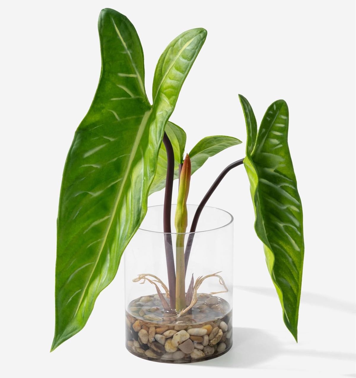 Tropical Artificial Plant in Clear Pot with Artificial Water, Wide Arrowhead Leaves. Faux Plants Indoor and Outdoor