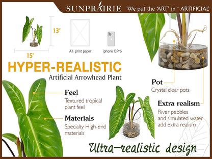 Tropical Artificial Plant in Clear Pot with Artificial Water, Wide Arrowhead Leaves. Faux Plants Indoor and Outdoor