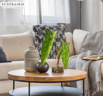 Tropical Artificial Plant in Clear Pot with Artificial Water, Wide Arrowhead Leaves. Faux Plants Indoor and Outdoor