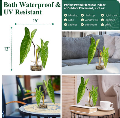 Tropical Artificial Plant in Clear Pot with Artificial Water, Wide Arrowhead Leaves. Faux Plants Indoor and Outdoor