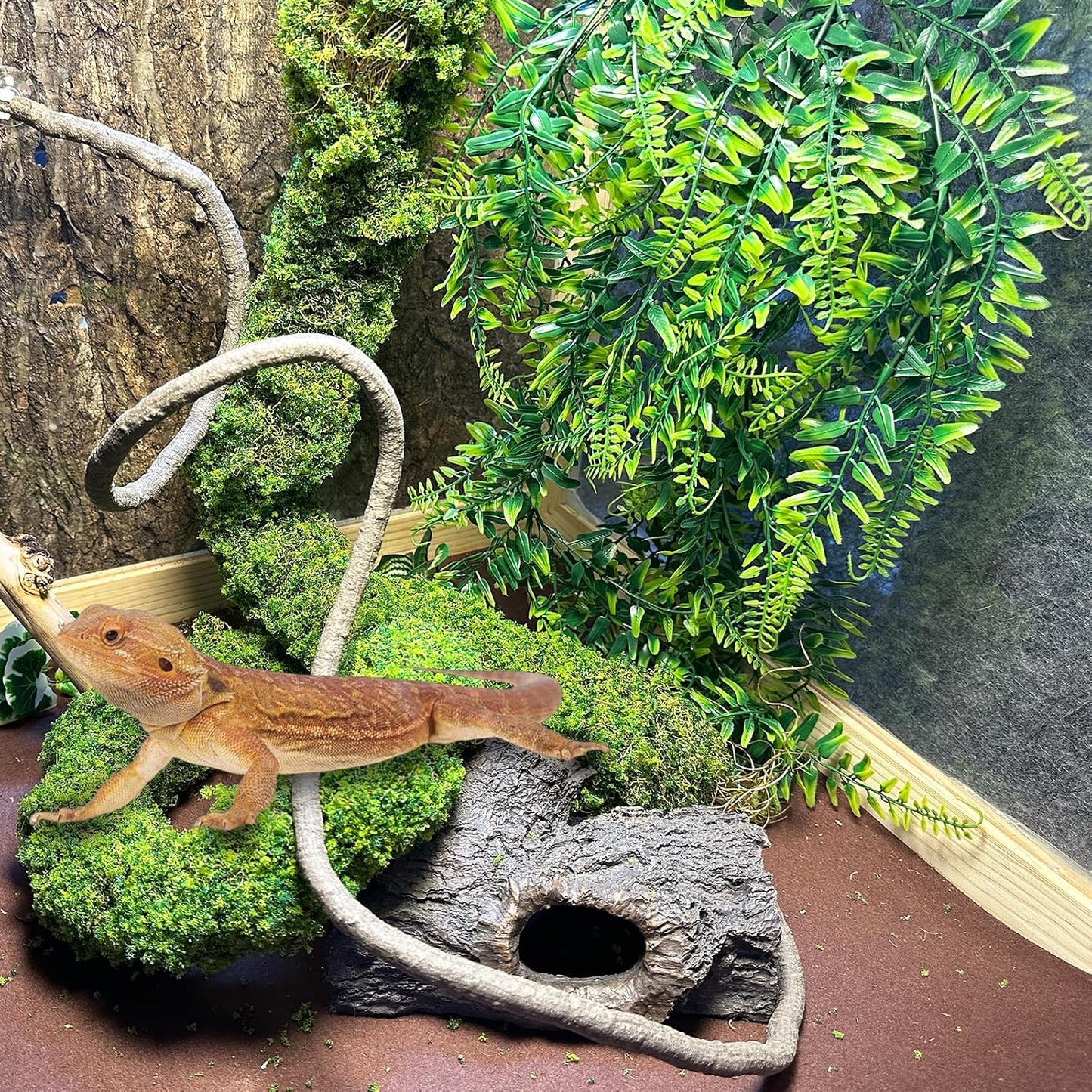 Reptile Plants,Flexible Rainforest Vines with Moss,Bendable Jungle Climbing Vines,Terrarium Artificial Plants Decor for Bearded Dragon,Hermit Crab,Snake,Geckos,Chameleon,Lizard