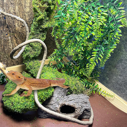 Reptile Plants,Flexible Rainforest Vines with Moss,Bendable Jungle Climbing Vines,Terrarium Artificial Plants Decor for Bearded Dragon,Hermit Crab,Snake,Geckos,Chameleon,Lizard