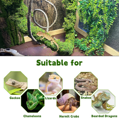 Reptile Plants,Flexible Rainforest Vines with Moss,Bendable Jungle Climbing Vines,Terrarium Artificial Plants Decor for Bearded Dragon,Hermit Crab,Snake,Geckos,Chameleon,Lizard