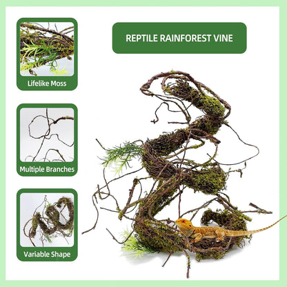 Reptile Plants,Flexible Rainforest Vines with Moss,Bendable Jungle Climbing Vines,Terrarium Artificial Plants Decor for Bearded Dragon,Hermit Crab,Snake,Geckos,Chameleon,Lizard