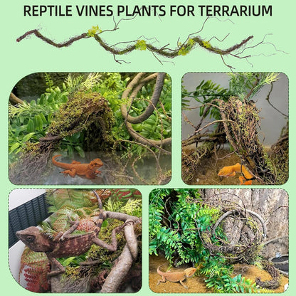 Reptile Plants,Flexible Rainforest Vines with Moss,Bendable Jungle Climbing Vines,Terrarium Artificial Plants Decor for Bearded Dragon,Hermit Crab,Snake,Geckos,Chameleon,Lizard