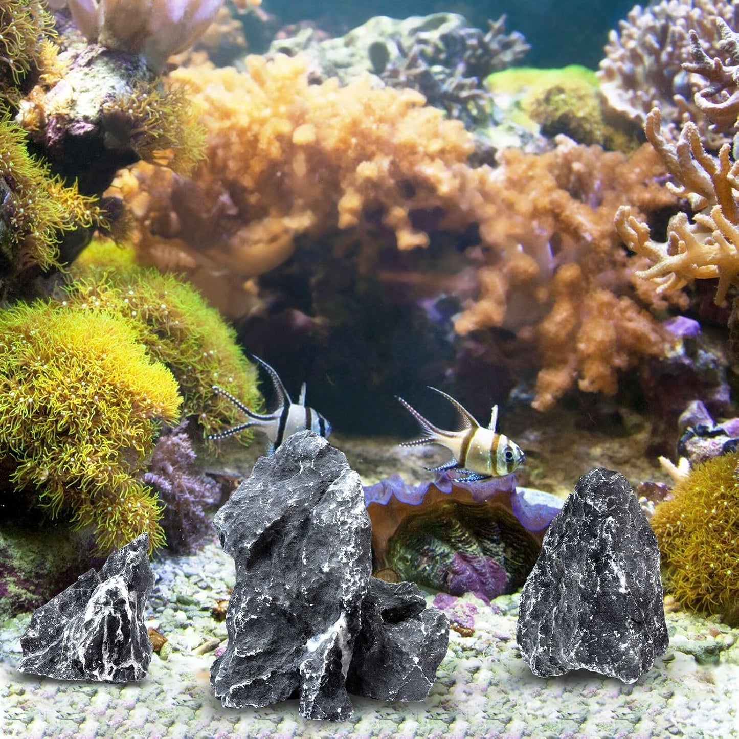 2.5lb Natural Dragon Stones, Aquarium Rocks Decoration Aquascaping Stone Landscaping Model for Fish Tank Decor Terrariums Paludariums Reptile Enclosures Gardens, 2-4 inches