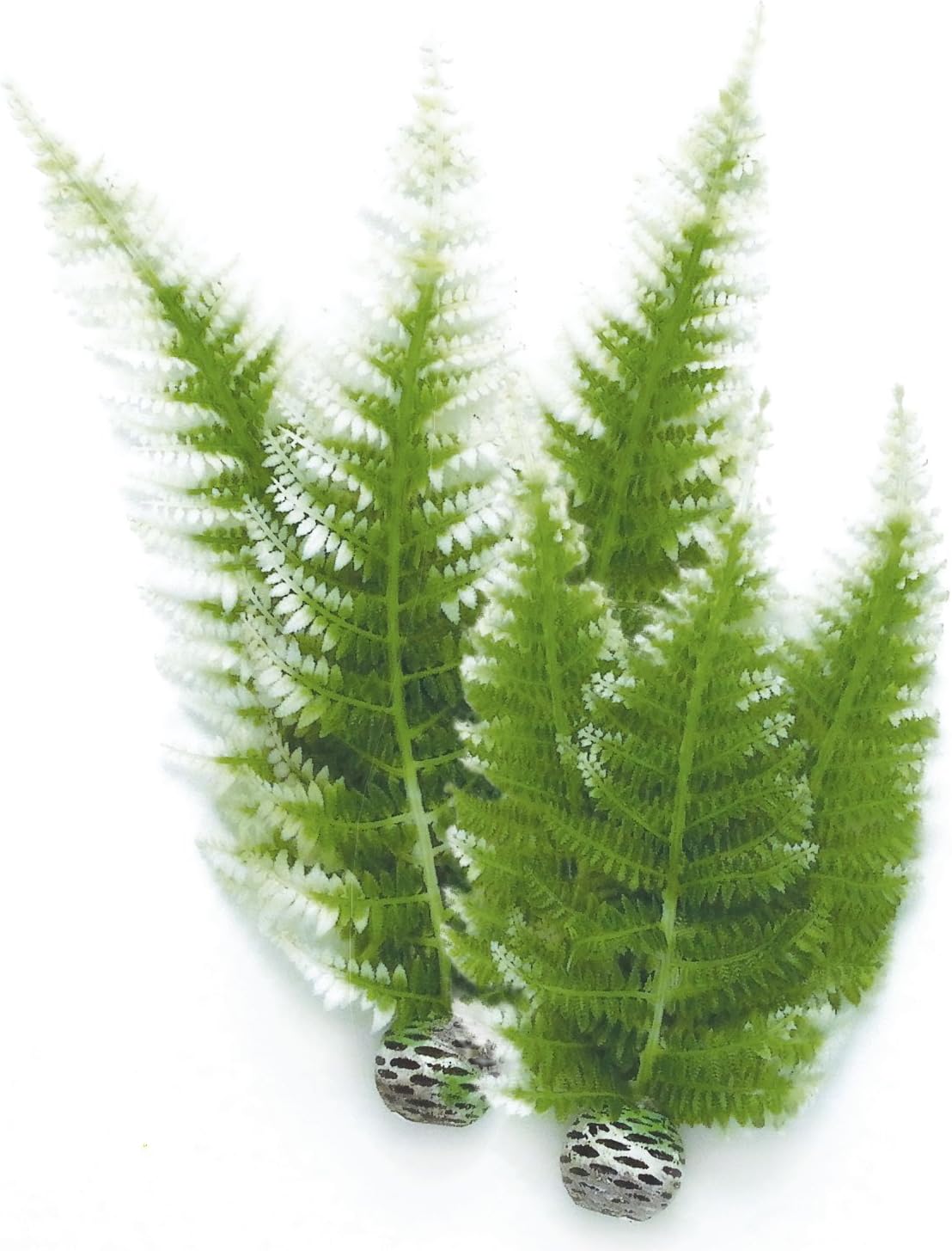 Silk Plant Set Small Green & red (46099)