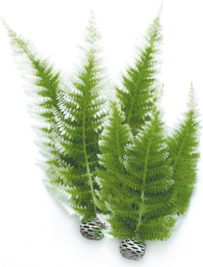 Silk Plant Set Small Green & red (46099)
