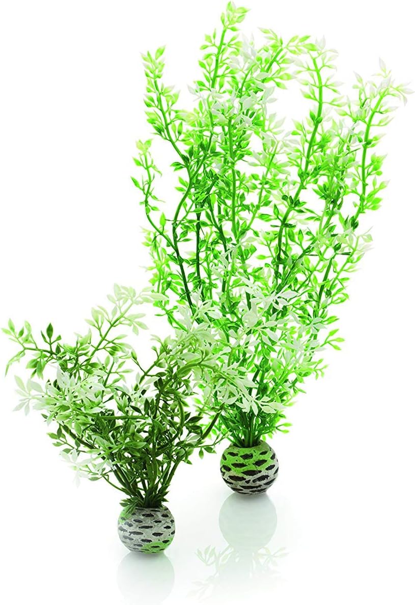 Silk Plant Set Small Green & red (46099)