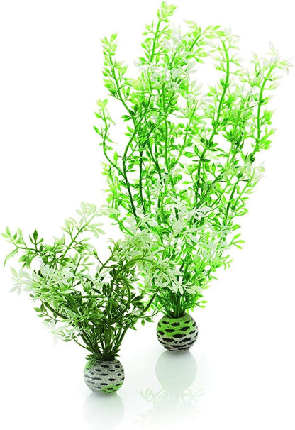 Silk Plant Set Small Green & red (46099)