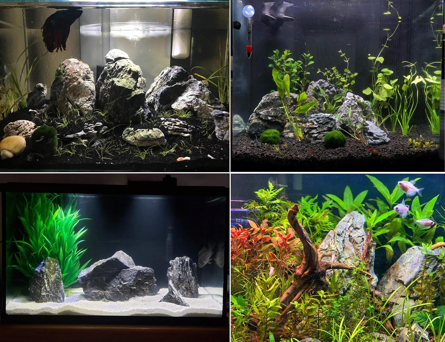 Natural Slate Rocks PH Neutral Stone Perfect Rocks for Aquariums, Landscaping Model,Tank Decoration,Amphibian Enclosures (3.5 LB, 5-7 inch)