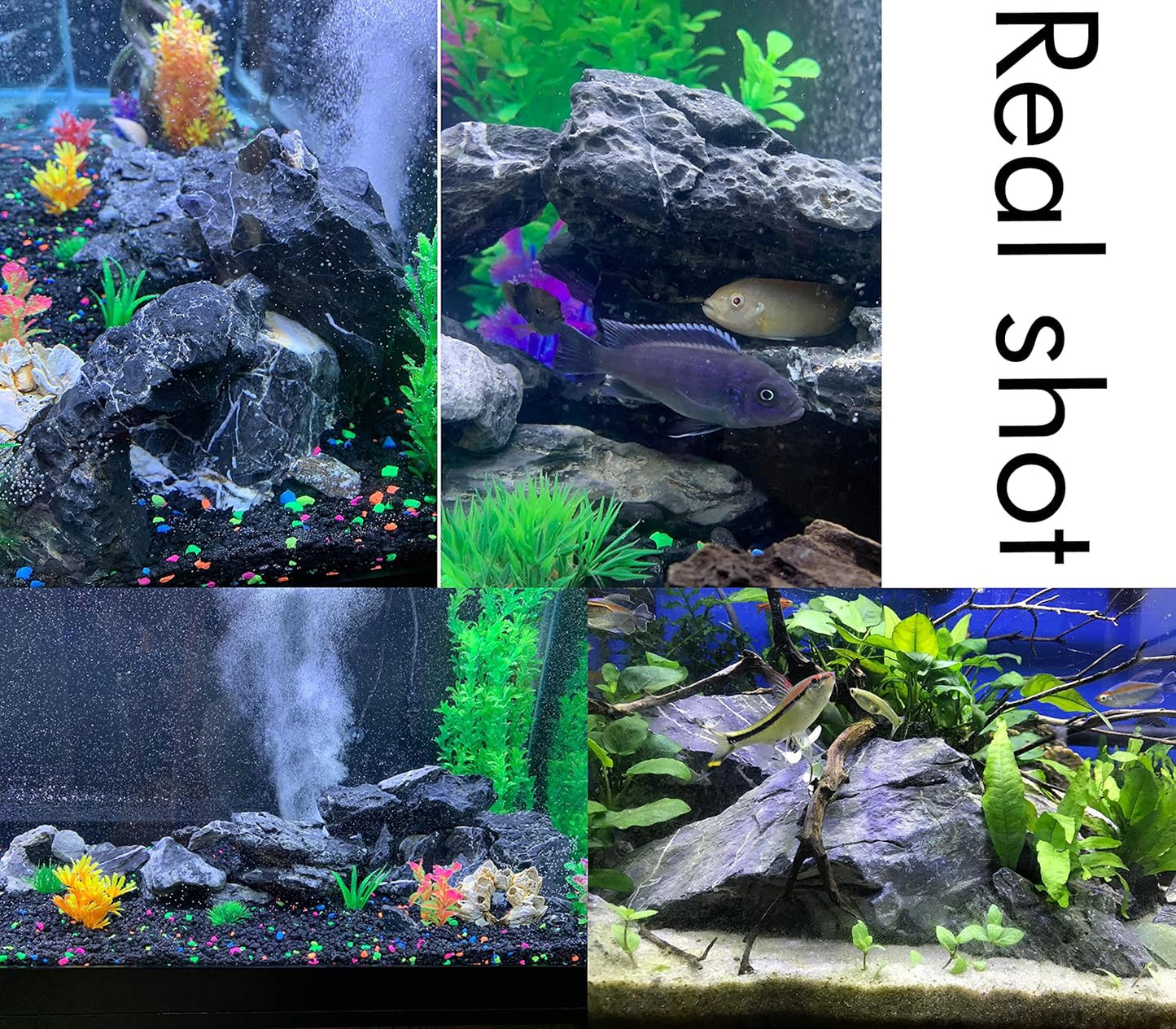 Natural Slate Rocks PH Neutral Stone Perfect Rocks for Aquariums, Landscaping Model,Tank Decoration,Amphibian Enclosures (3.5 LB, 5-7 inch)