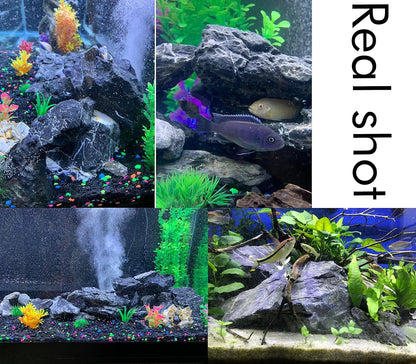 Natural Slate Rocks PH Neutral Stone Perfect Rocks for Aquariums, Landscaping Model,Tank Decoration,Amphibian Enclosures (3.5 LB, 5-7 inch)