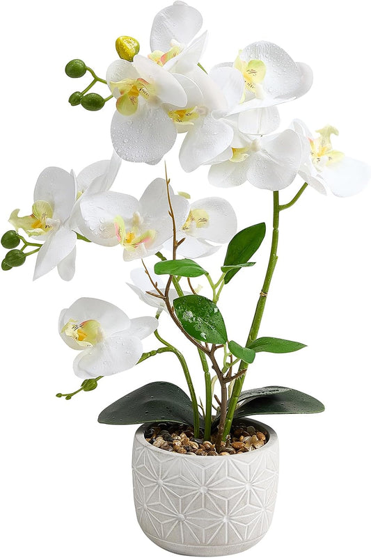 White Artificial Orchid,16-Inch Real Touch Phalaenopsis in Cement Pot