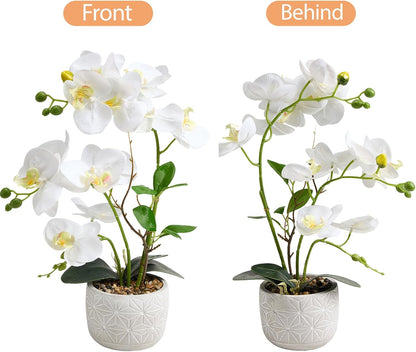 White Artificial Orchid,16-Inch Real Touch Phalaenopsis in Cement Pot