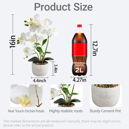 White Artificial Orchid,16-Inch Real Touch Phalaenopsis in Cement Pot