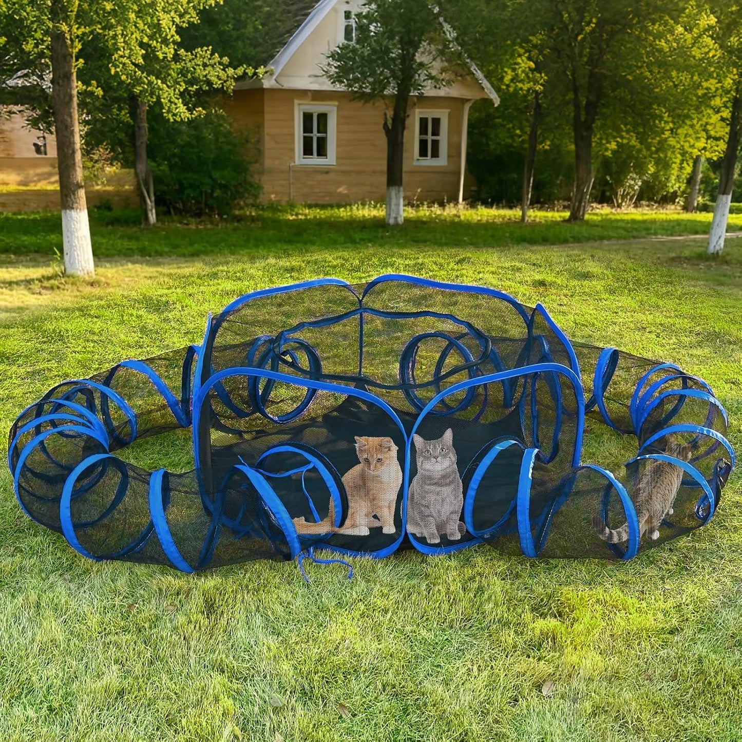 Small Animal Playpen Guinea Pig Hedgehog Cage Rabbit Cage with Fun Surround Tunnel Breathable & Transparent Pop Open Exercise Yard Fence with Top Cover Anti Escape