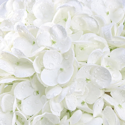 Real Touch Hydrangea Artificial Flowers, 21" Fake Flowers, White