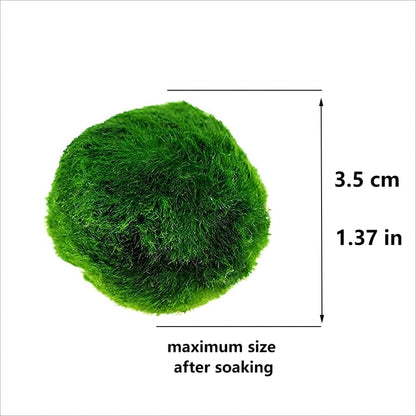 3Pcs Moss Balls for Fish Tank Aquarium Plants Freshwater Moss Ball Decorative, Grrren, 1.2-1.5" (3)