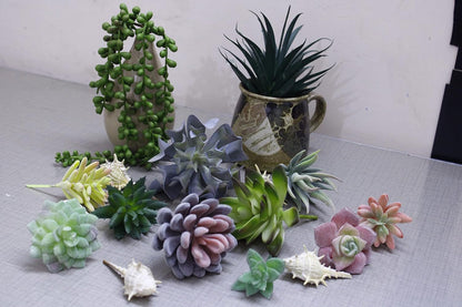 Artificial Succulents Plants Unpotted -14 Pack– Large Fake Succulent Plant Indoor Outdoors – Realistic Faux Cactus Suculentas Bulk for Home DIY Décor – Small Desert Plastic Cacti Succulants